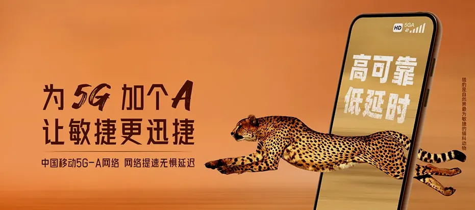 沭阳县沭阳县龙庙镇 移动宽带
